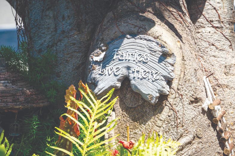 The Butterfly and Fairy Garden at Laguna Beach Library