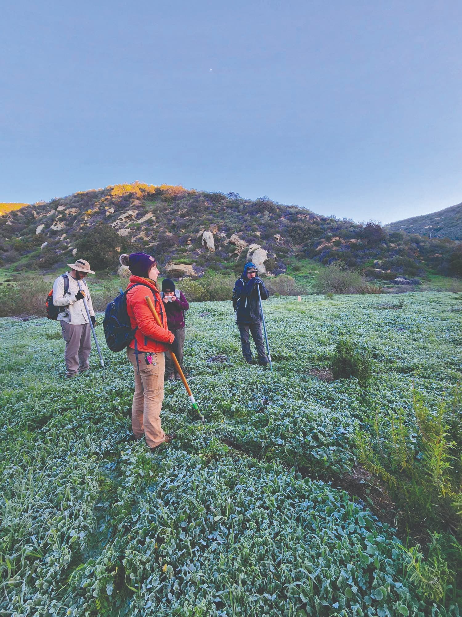 Laguna Canyon Foundation natural open space