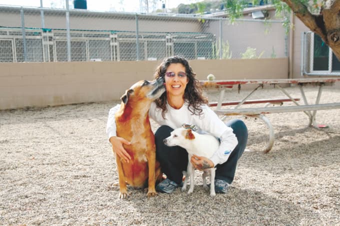 Rescue dogs at the Laguna Beach Animal Shelter